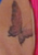 Belen.PNG