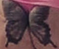Balen.PNG