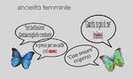 Pubblico (errant._.haereticum)