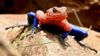 http://static.ecoo.it/625X0/www/ecoo/it/img/lucertola-spider-man.jpg