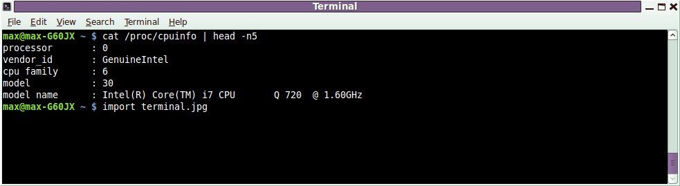 terminal.jpg