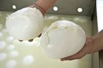 casearia-caputo-mozzarella.jpg