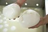 casearia-caputo-mozzarella.jpg