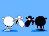 pecore_64259.gif