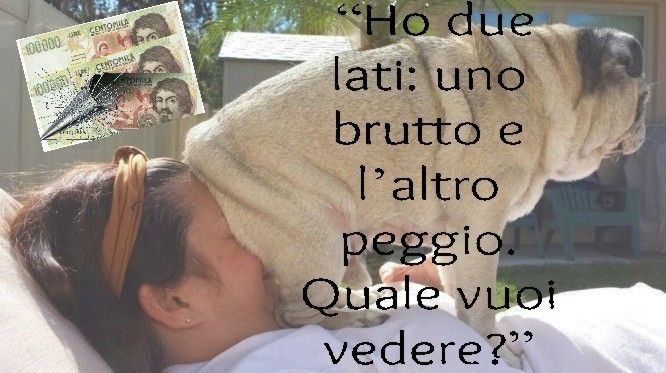 Culo in facciaa.jpg
