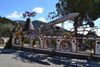 DSC_0602.JPG