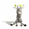 billy_goat_head_butt_md_wht.gif