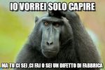 Pubblico (settimana.rosso.fuoco)