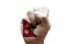 http://us.cdn1.123rf.com/168nwm/tony4urban/tony4urban1412/tony4urban141200353/35029947-man-mano-pugno-dipinte-bandiera-del-paese-del-nepal.jpg
