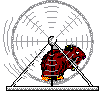 criceto28.gif