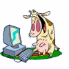 mucca.gif