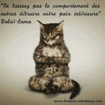 chat dalailama.jpg