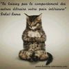 chat dalailama.jpg