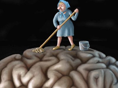 http://www.cervellomacchiato.it/wp-content/uploads/2014/11/Cervello-macchiato.jpg