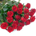 prod_26537_1_med.jpg