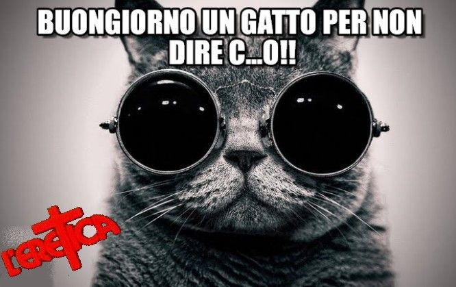 gatr1.jpg