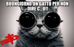 gatr1.jpg