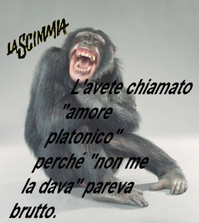 sscciimm.jpg