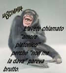Pubblico (doute*et*la*peur)