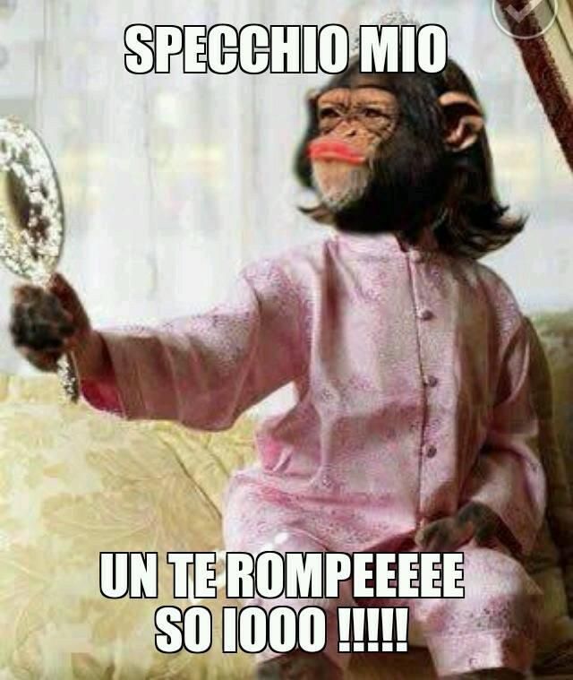 http://www.barzellette.net/foto/846-scimmia-guarda-specchio.jpg