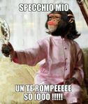 http://www.barzellette.net/foto/846-scimmia-guarda-specchio.jpg