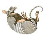 gif_animate_comiche_01.gif