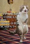 IMG-20141102-WA0022.jpg