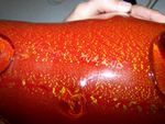 100_6329.JPG