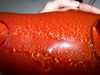 100_6329.JPG