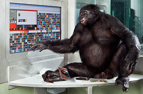 http://www.wikinoticia.com/images2//s1.alt1040.com/files/2012/07/Bonobo-usando-lexigrama.jpg