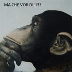 Pubblico (melitconci)