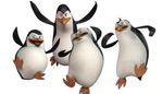 http://static.televisionando.it/625X0/www/televisionando/it/img/nick-pinguini-bg.jpg