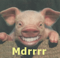 gif animate maiale (97).gif