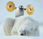 pinguino dispettoso.gif