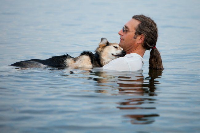 20120807__doginlake_turningpoint.jpg