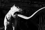 http://media.artsblog.it/a/and/anders-petersen/8anderspetersen.jpg