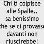 ilvigliaccodelrobertobonsa
