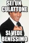 culattonevigliacconerobertobonsai