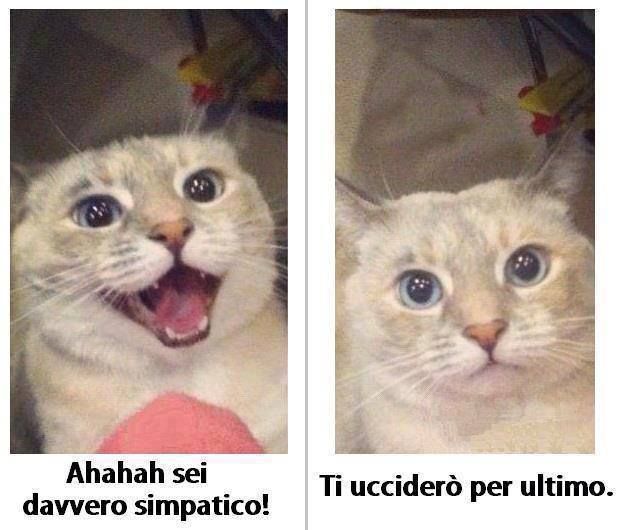 tiuccideròperultimo.jpg