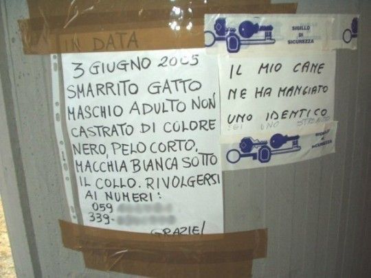 gattoecane-540x405.jpg