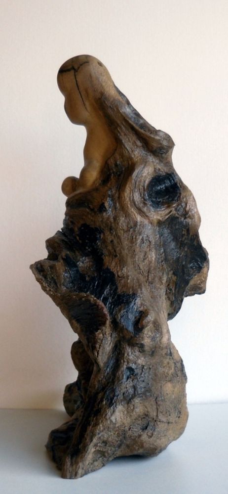 818b.JPG