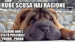 robè.jpg