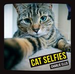 gatto