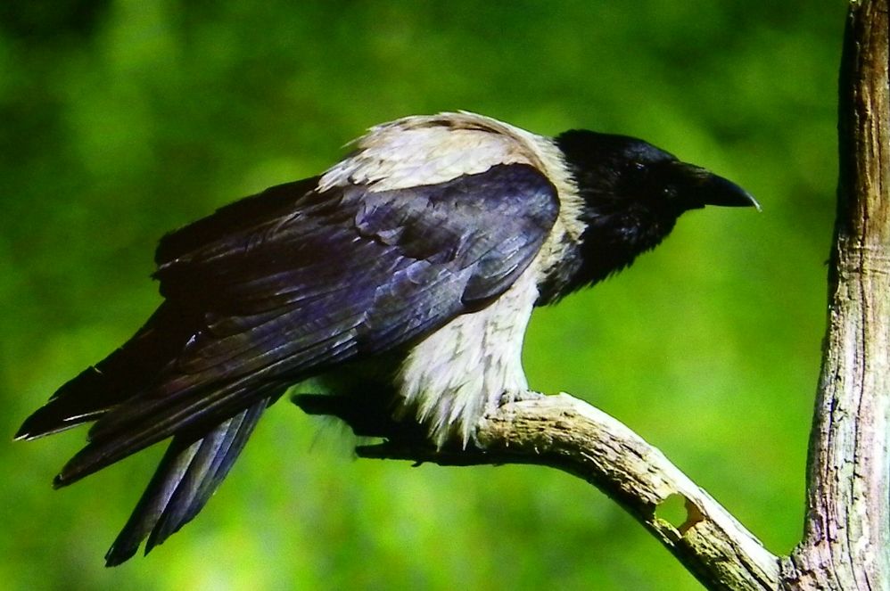 104_4624.JPG