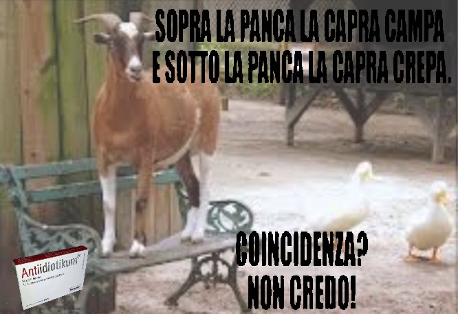 sopra-la-panca.jpg