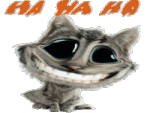 risatapersfigatibonzi