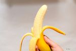 bananaVersionsfigatibonsai-2.jpg