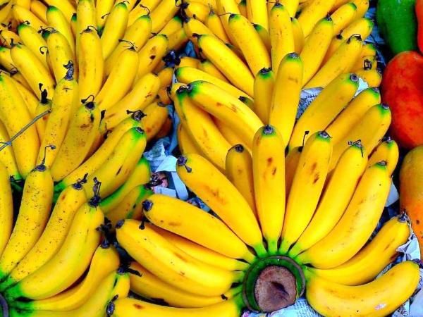 http://www.france-voyage.com/visuals/photos/banana-guadalupa-martinica-34864_w600.jpg