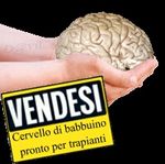 Pubblico (duro-*0)