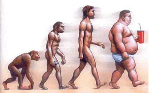 evoluzione-umana.jpg